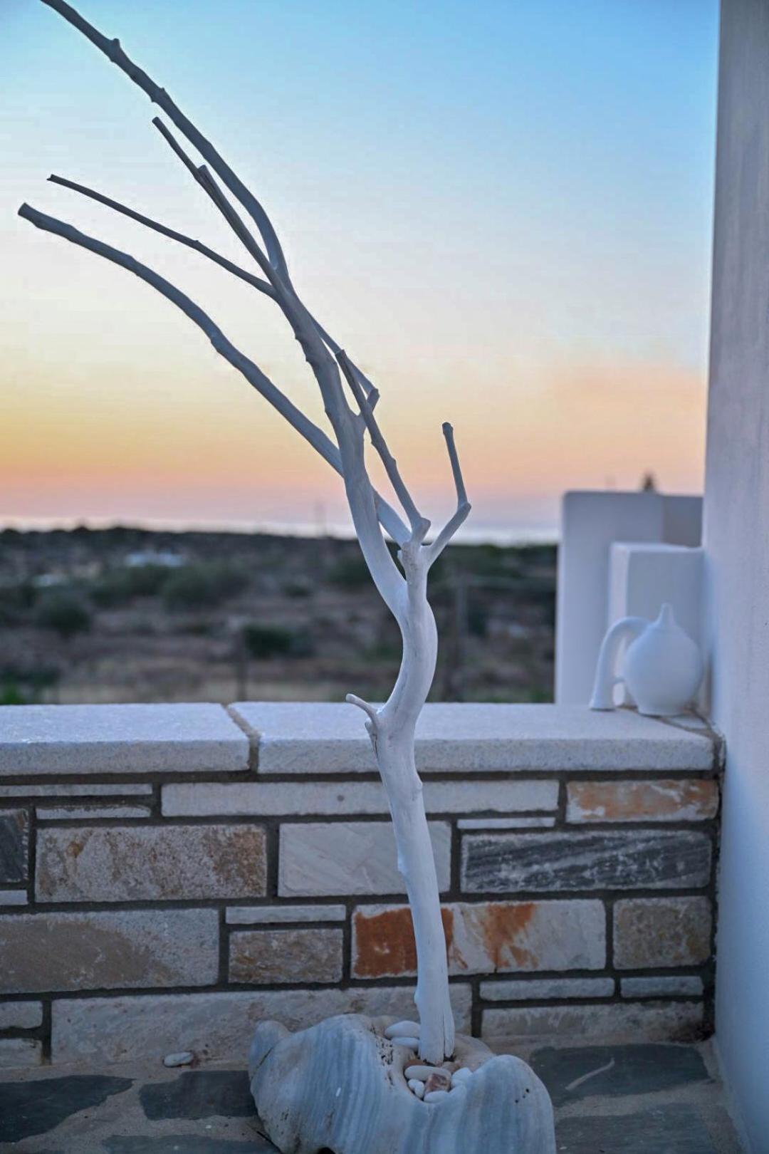 'Sophie'S Villa' Akrotiri  Exteriér fotografie