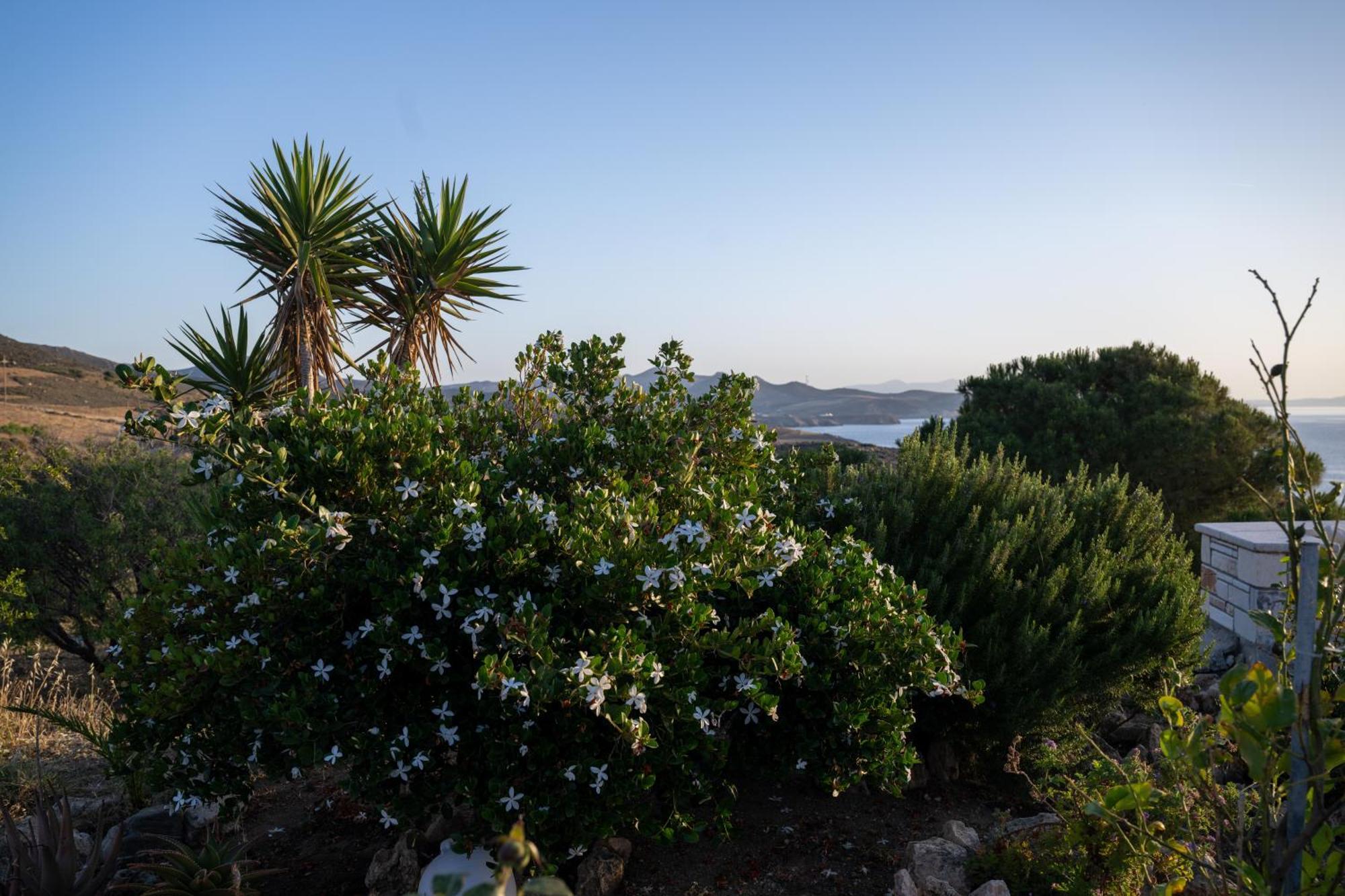'Sophie'S Villa' Akrotiri  Exteriér fotografie